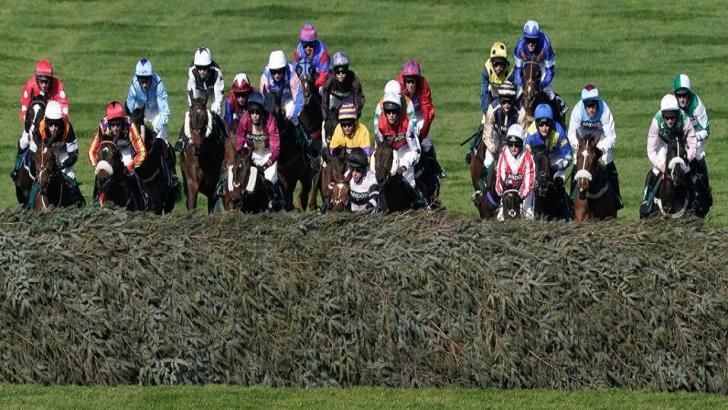 Grand National fence